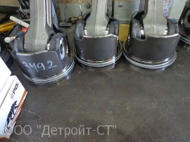 Cat C13_13