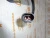 Соленоид 12V Deutz 04287583 (0428-7583, 4287583) – Запчасти Deutz фото (Актуаторы) Соленоид 12V Deutz 04287583 (0428-7583, 4287583) фото запчасти
