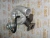 Турбокомпрессор Perkins GT2556S 2674А200 – Запчасти Perkins фото (Турбины) Турбокомпрессор Perkins GT2556S 2674А200 фото запчасти
