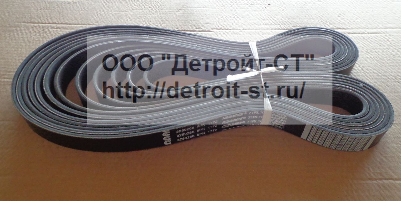 Ремень Cummins 3289268 (8PK1772, 3945824) фото запчасти