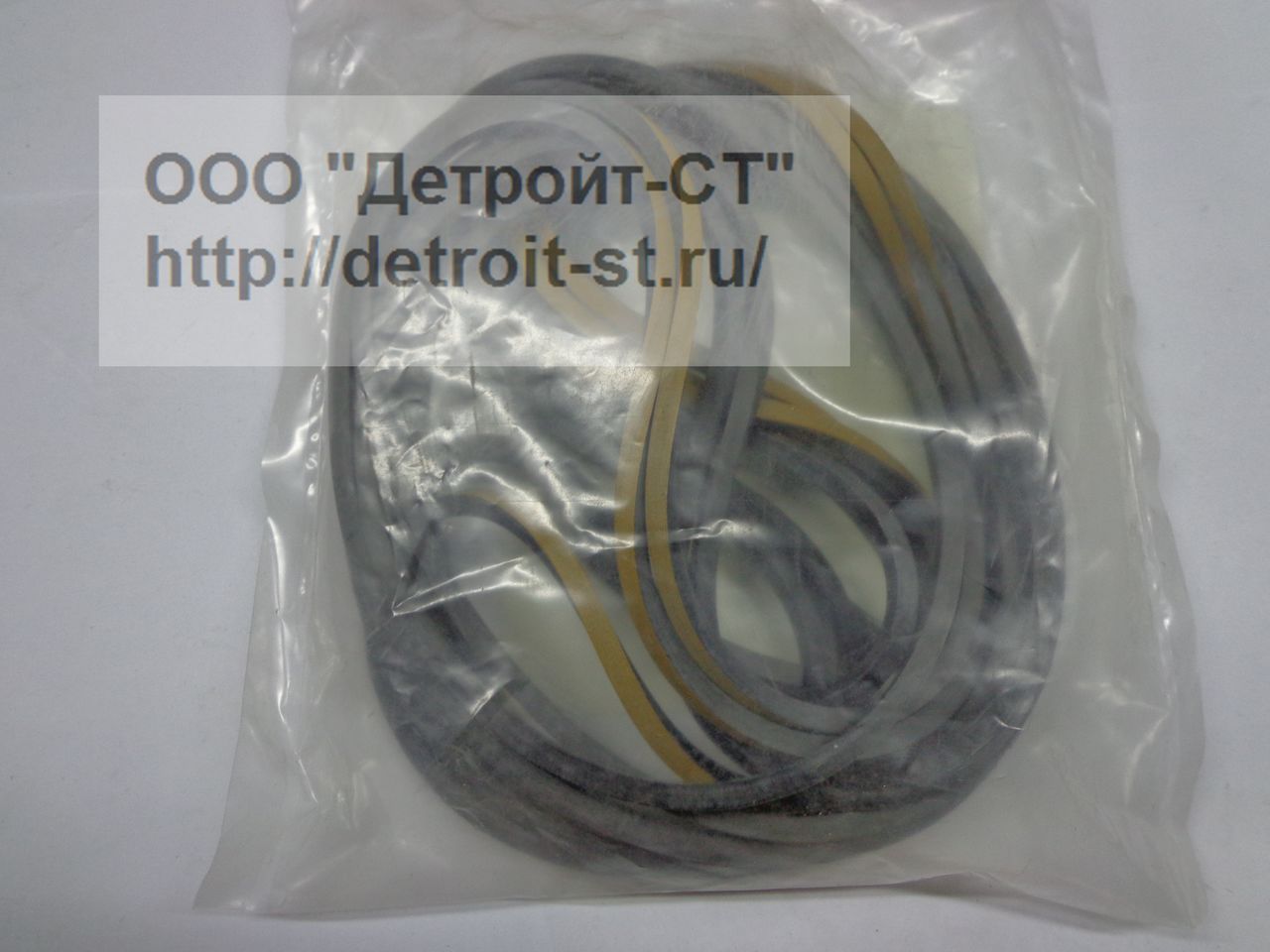 Уплотнение Detroit Diesel 5141245 фото запчасти