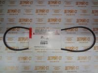 Клиновой ремень 01179749 (1179749, 0117-9749) фото запчасти