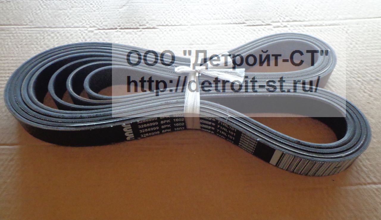 Ремень Cummins 3288999 (3805955) фото запчасти