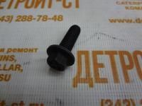 Болт крепления шестерни распредвала, помпы, форсунки, коллектора впускного, фиксатора трубок к форсункам, скобы генератора, ТННД Cummins 3900631 (3918109, 3904341, 3093730, 3907860, 3901755) фото запчасти