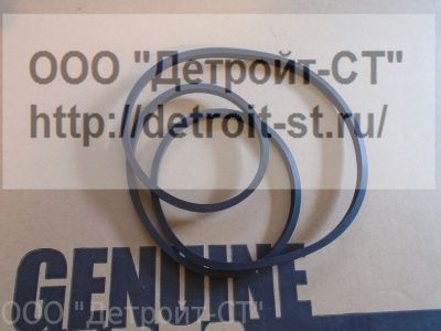 Уплотнение картера Cummins K19 3096260 (205239) фото запчасти