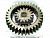 Gear Set, 6V Oil Pump 5196603 фото запчасти
