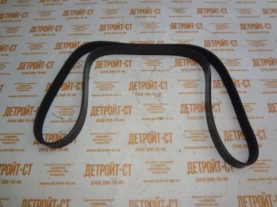 Ремень Cummins 3289001 (3911566, 8PK1613) фото запчасти