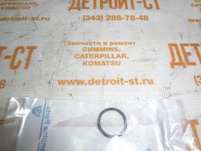 О-кольцо 26460064 (10000-00097) фото запчасти