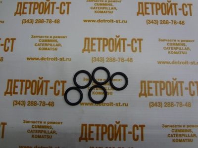 Кольцо Cummins 3029820 (69527) фото запчасти