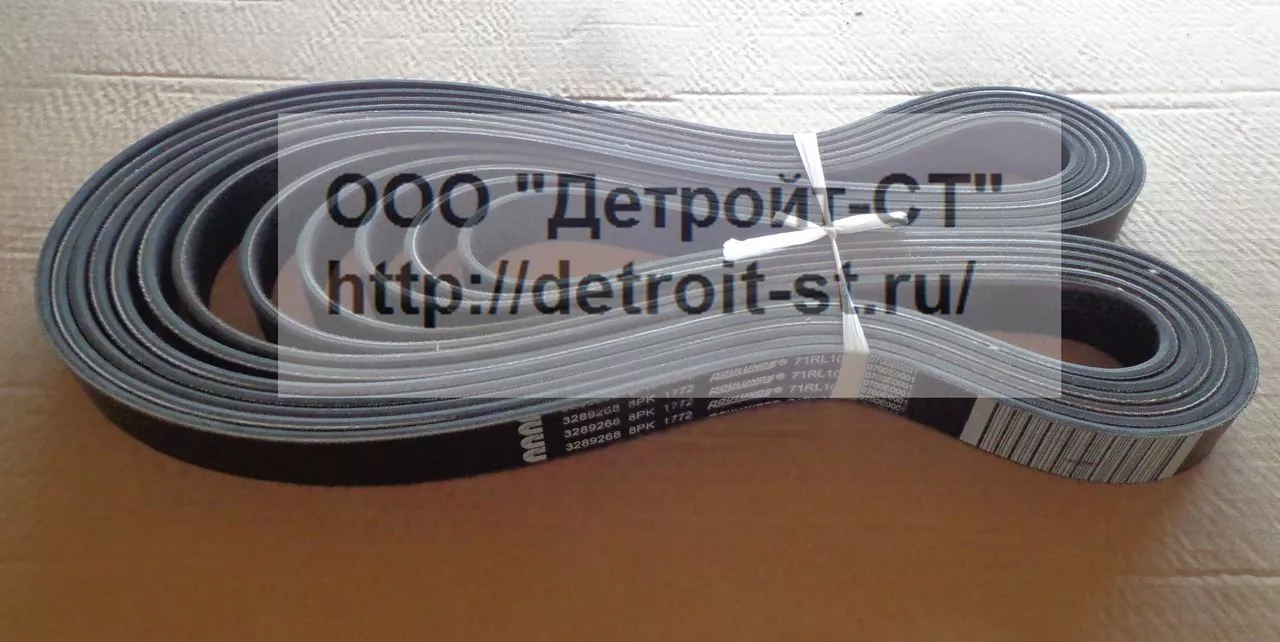 Ремень Cummins 3289268 (8PK1772, 3945824) фото запчасти