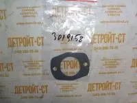 Прокладка Cummins 3019158 фото запчасти