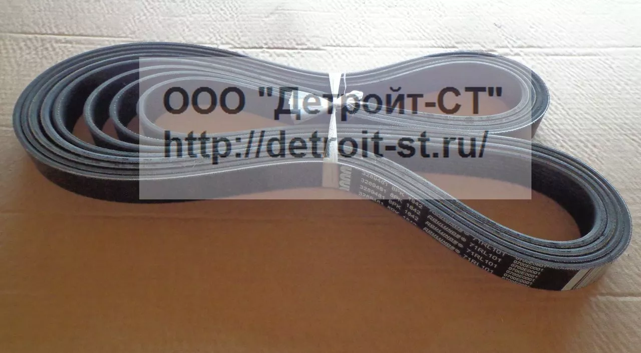 Ремень Cummins 3289481 (3928847) фото запчасти