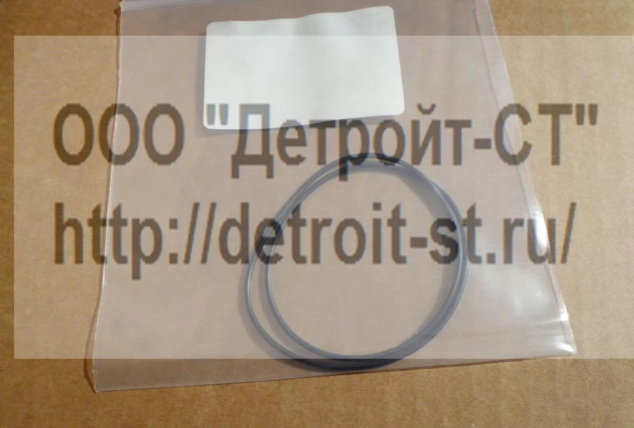 Уплотнение Catepillar, CAT 3066 096-9529 фото запчасти